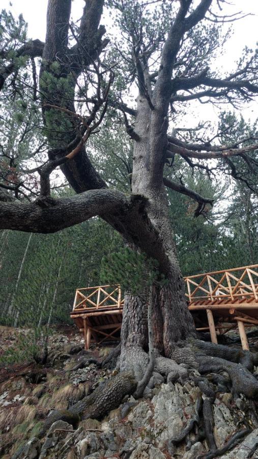 Free Spa В Св. Иван Рилски - Сладък Дом Сред Лукс Bansko Exterior foto